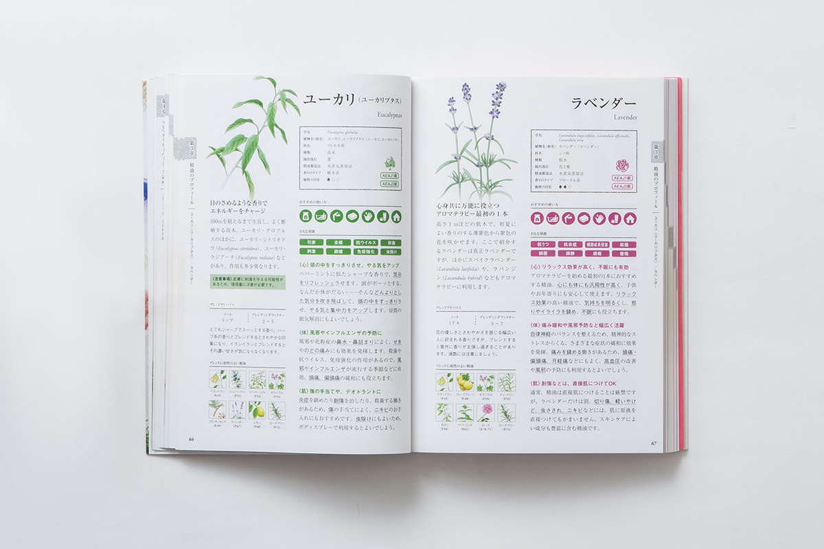 すべてがわかるアロマテラピー